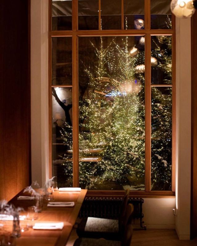 ����������� ���������� � ���������� Novikov Group