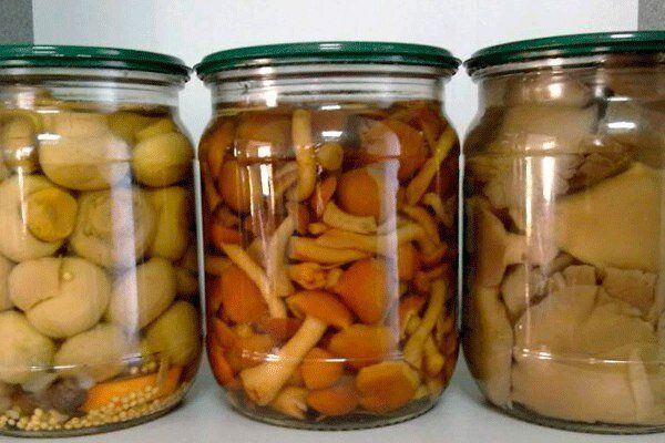 ���������������� �����: ������� � ������� �������