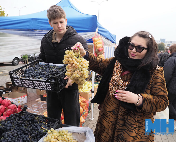 Сельхозярмарка в Чижовке: осенние деликатесы и свежие впечатления