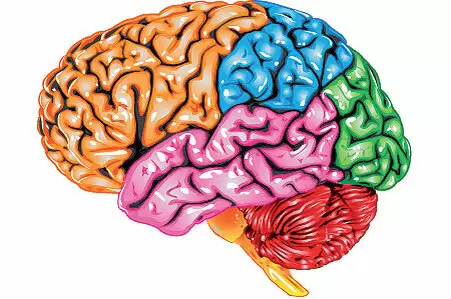 Тайны памяти: как улучшить свои когнитивные способности