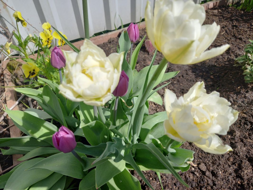 ����� ������ �������� � �������, ���� ����� ������������ ������� � �������?