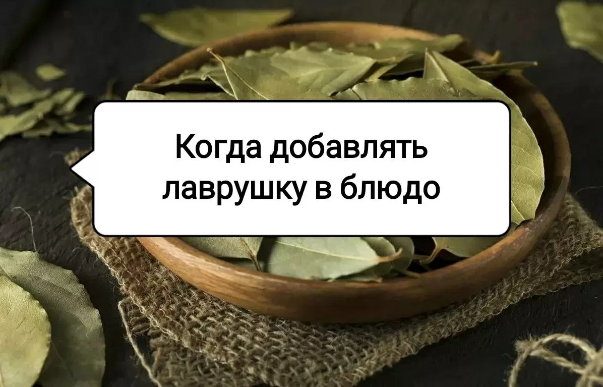 Лавровый лист: как использовать, чтобы раскрыть вкус ваших блюд