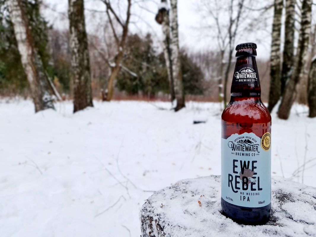 ��� ������ ���������������� IPA ����� �� 6 ������ � ������� ��� ����