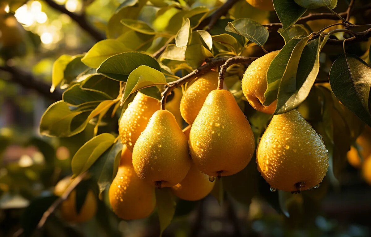 ��� ���������� ����� � ������� ���������� � �������� ������� ������