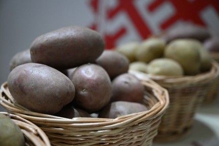 ������ ��������� 2025: ��� ���� ����������� � ������ ���� �������� �����������