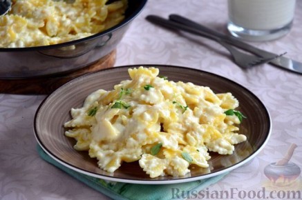 ��� ������ ��������� �����: ���� ��������� ������� ��������