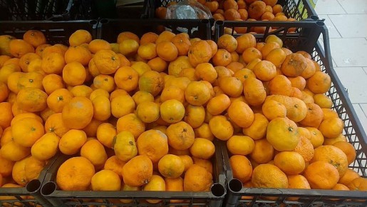 ����� ���������� �� ���������