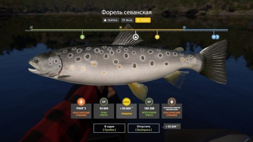 �� ��� ������ ���������� � �����: ������ �� ���������