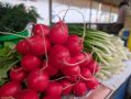 Сезонный рынок Бобруйска: что выбрать в апреле?