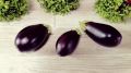 Открытия для уюта и кулинарные идеи